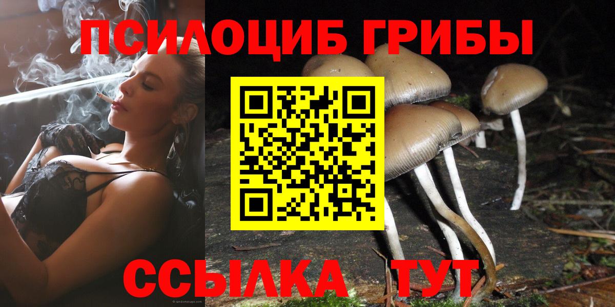 Галлюциногенные грибы ЛСД  Галлюциногенные грибы Psilocybine cubensis  Вход с VPN  Ковров 